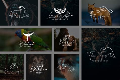 How to design a professional photography logo? [step-by-step]