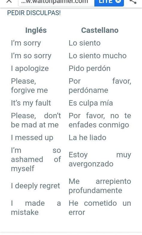 copiar en el cuaderno 10 formas de pedir perdón en ingles resuelbelom