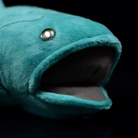 Realistic Coelacanth Stuffed Animal Plush Toy – KEAIART