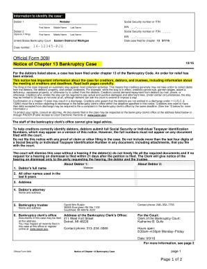 23 Printable chapter 13 bankruptcy forms Templates - Fillable Samples in PDF, Word to Download ...