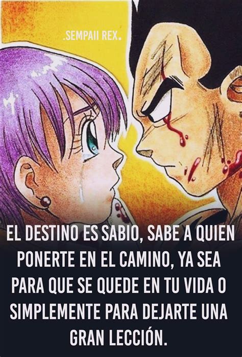 Imagenes De Dragon Ball Z Con Frases Chistosas Para Descargar