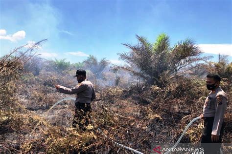 Tim Gabungan Polres Tapsel Berjibaku Padamkan Kebakaran Lahan Manompas