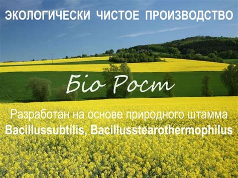 Презентация препарата bio-rost.com