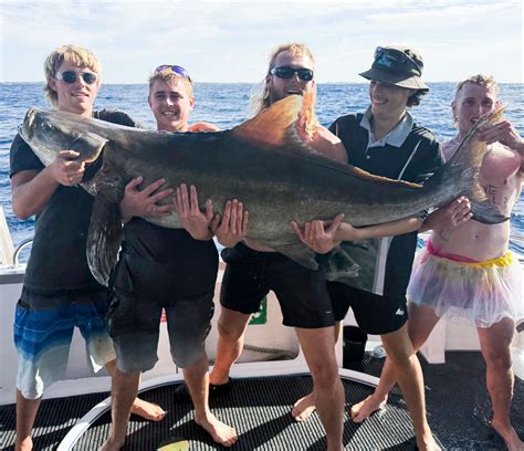 Z Man Lure Crushes World Record Cobia By 40 Pounds