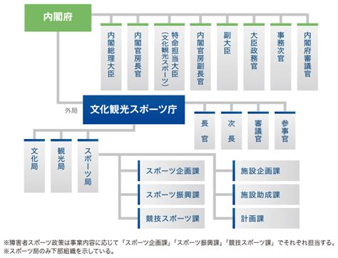 スポーツ庁の設置パターン Sport Topics 笹川スポーツ財団