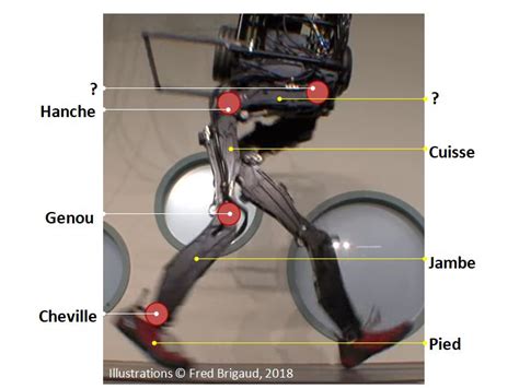 Qui De L Homme Ou Du Robot Court Le Mieux Ead Concept