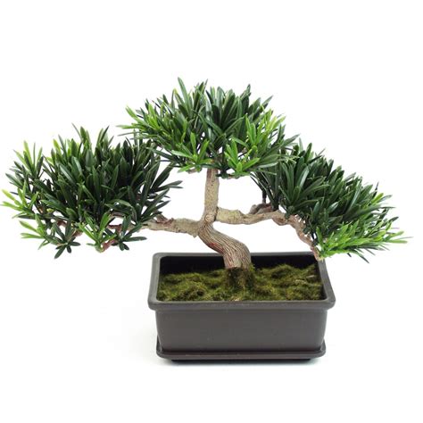 Bonsai Podocarpus Artificiel Mini Cm Bonsa S Artificiels Artiplantes