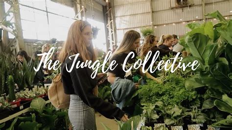 The Jungle Collective Plant Sale May Youtube