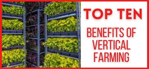 Top 10 Benefits Of Vertical Farming