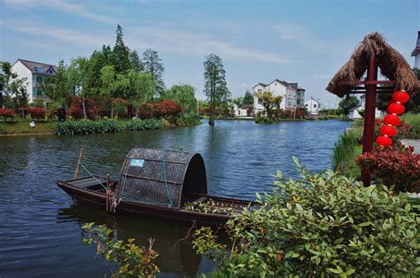 浙江平湖：共建和美乡村示范片区 打造宜居宜业新场景 新华网