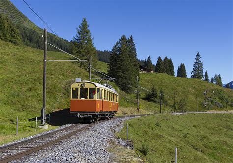 Cfe Der Blm Zwischen Gr Tschalp Und Winteregg