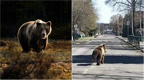 Ne Mogu Mu U I U Trag Ovaj Je Grad Proglasio Izvanredno Stanje Zbog