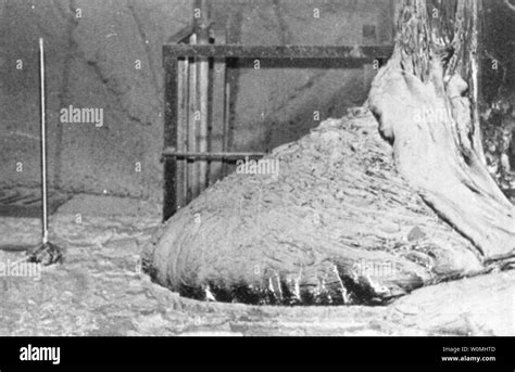 Chernobyl reactor Black and White Stock Photos & Images - Alamy