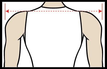 Broad Shoulders Clipart Clip Art Library