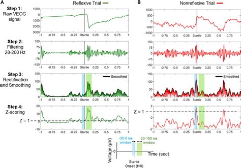 Frontiers Evaluating The Modulation Of The Acoustic Startle Reflex In