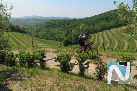 Friuli Orientale Nest Bike Percorsi E Itinerari In Mtb E Gravel