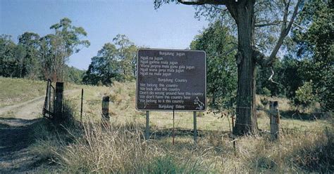 Best Camping In And Near Bundjalung National Park