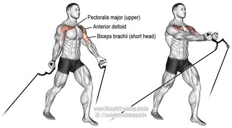 Low Cable Crossover An Isolation Exercise For Your Chest Target