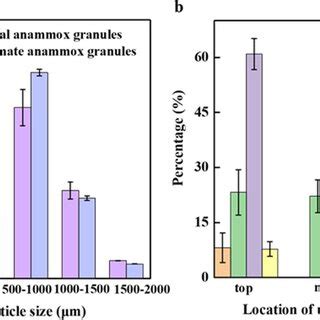 Microbial community structure of the initial and ultimate anammox ...