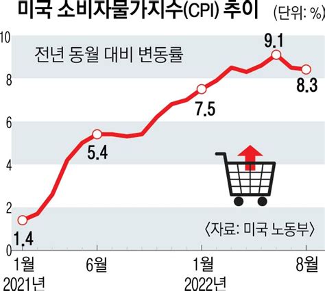 오늘 발표되는 미국 소비자물가지수cpi의 역설 Dogdripnet 개드립