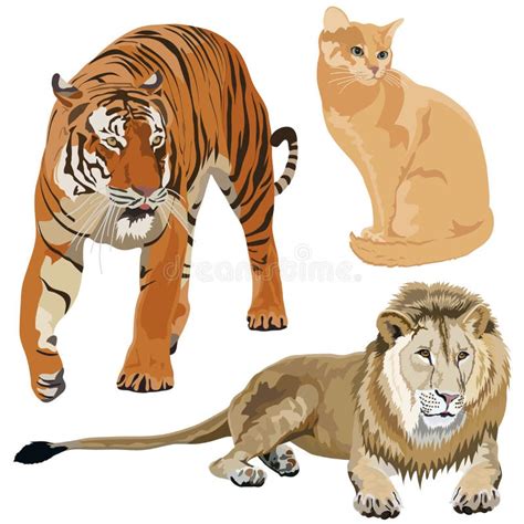 Felidae Stock Illustrations Felidae Stock Illustrations Vectors