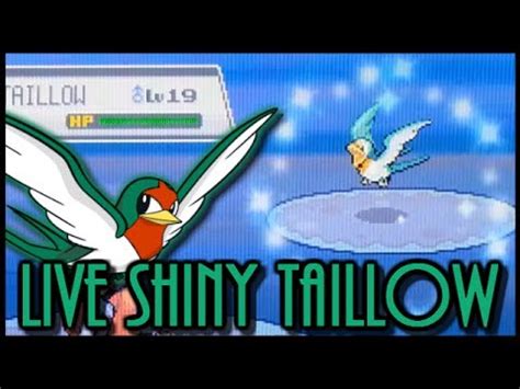 LIVE Shiny TAILLOW At Soul Silver After Around 2 050 REs YouTube