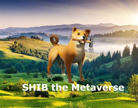 Shiba Inu When Will Shib The Metaverse Release