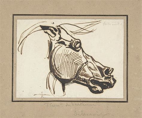 Head of a Horse, after the Parthenon Drawing by Eugene Delacroix - Pixels