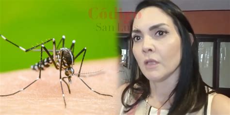 Video Dengue Azota A La Huasteca Secretar A De Salud Omisa C Digo