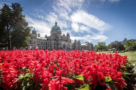 Top 10 Things To Do In Victoria Canada With Kids Trekaroo