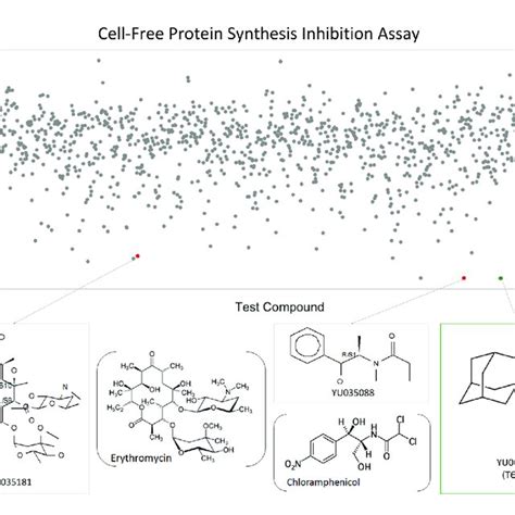 High Throughput Screen To Identify Small Molecule Inhibitors Of Download Scientific Diagram