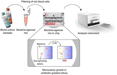 Frontiers Evaluation Of The Speed Accuracy And Precision Of The