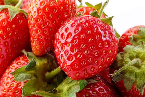 Hermosas Y Maduras Fresas Rojas Sobre Fondo Blanco Imagen De Archivo