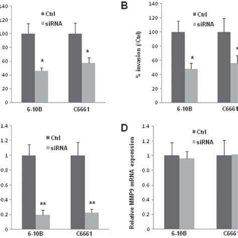 Knockdown Of Ezrin Inhibits The Migration And Invasion Ability Of B