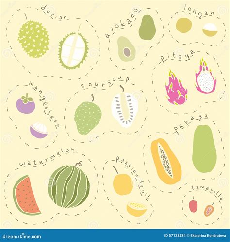 Set Of Hand Drawn Tropical Fruits Part 2 Stock Vector Illustration Of