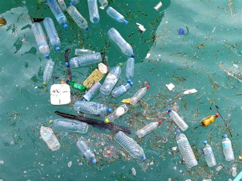 Addio Bottiglie Di Plastica Benvenuta Acqua Minerale Fatta In Casa