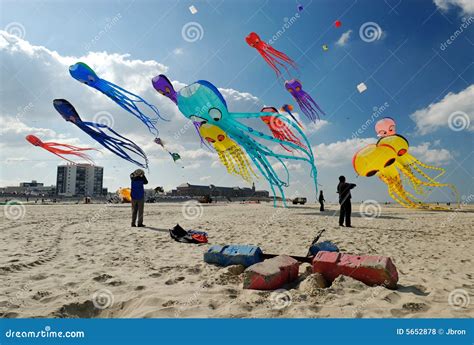 Kite Competition Royalty Free Stock Photos - Image: 5652878