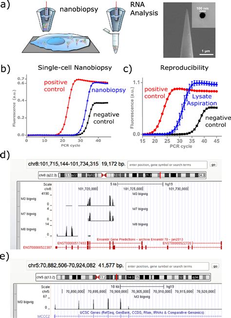 Figure From Compartmental Genomics In Living Cells Revealed By Single