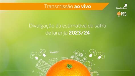 Estimativa Da Safra De Laranja 2023 24 YouTube