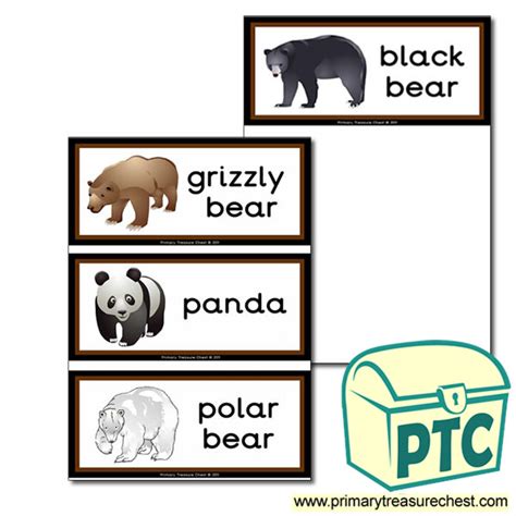 Bear Themed Flashcards Primary Treasure Chest