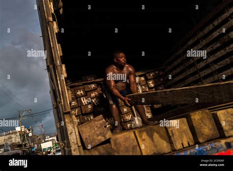 A Colombian Carrier Loads A Rough Sawn Timber Extracted From The