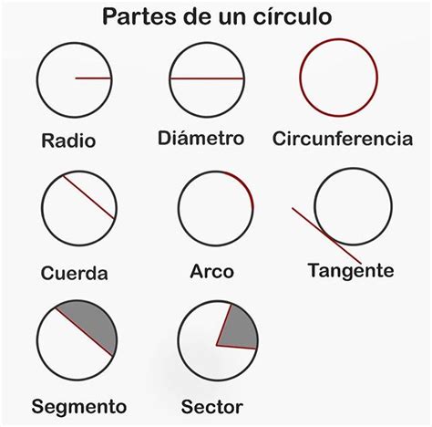 Partes Del Circulo