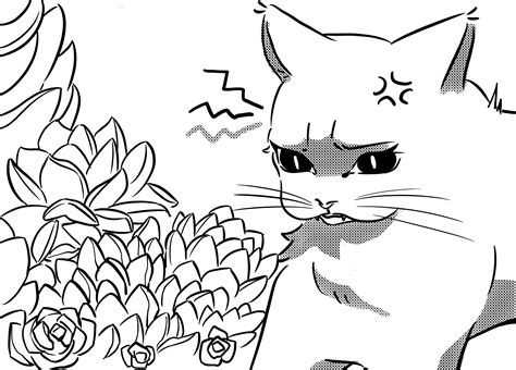 Pet Safe Air-Purifying House Plants - Pawsletter Details