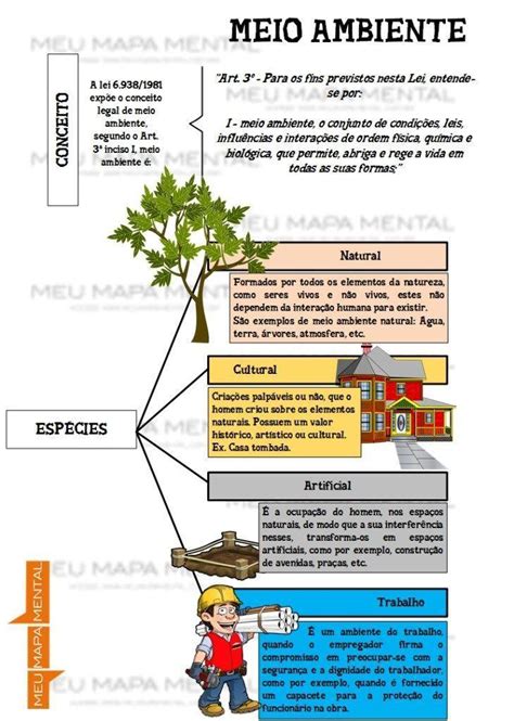 mapa mental sobre a cultura e o meio ambiente - brainly.com.br