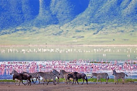 Top Tourist Attractions In Tanzania Planetware