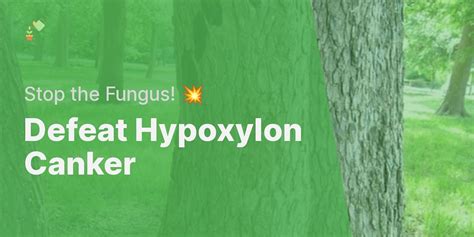 Hypoxylon Canker Fungus: Identification, Treatment, and Prevention