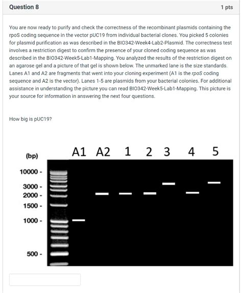 Solved Question Pts You Are Now Ready To Purify And Chegg