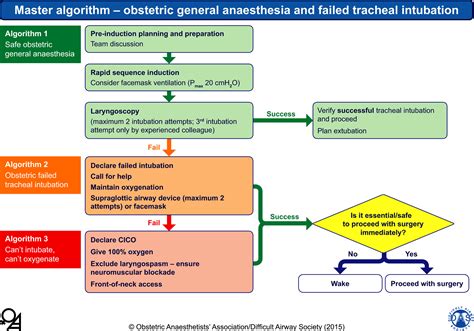 Obstetric Anaesthetists Association And Difficult Airway Society