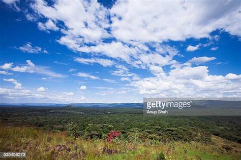 25 Kakamega Forest Stock Photos, High-Res Pictures, and Images - Getty ...