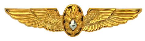 Naval Flight Surgeon Badge Full Size | North Bay Listings